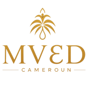 mved afrique logo transparent
